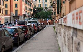 Alea Home Roma